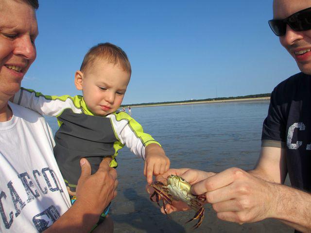 Tentatively touching.....