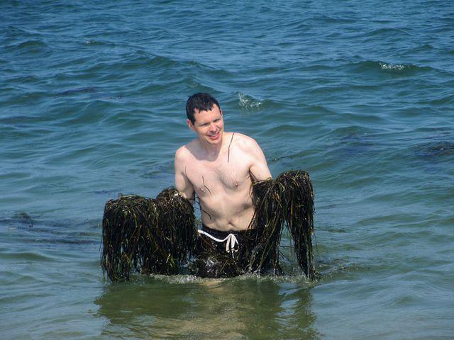 Seaweed Monster