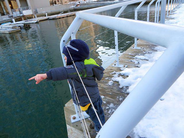 Look Grandma, water taxi!
