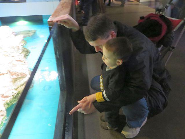 Checking out the penguins