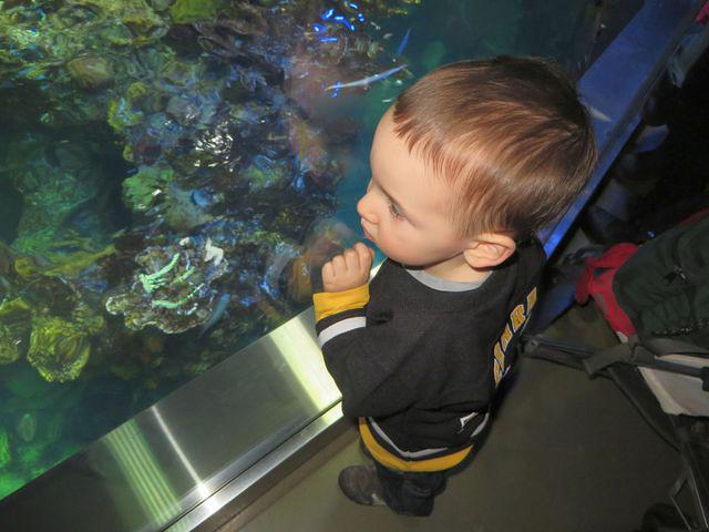 Top of the giant tank