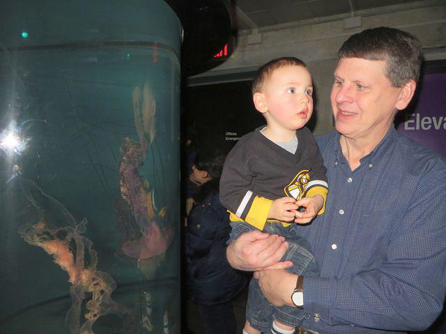 Not a fan of the jellies