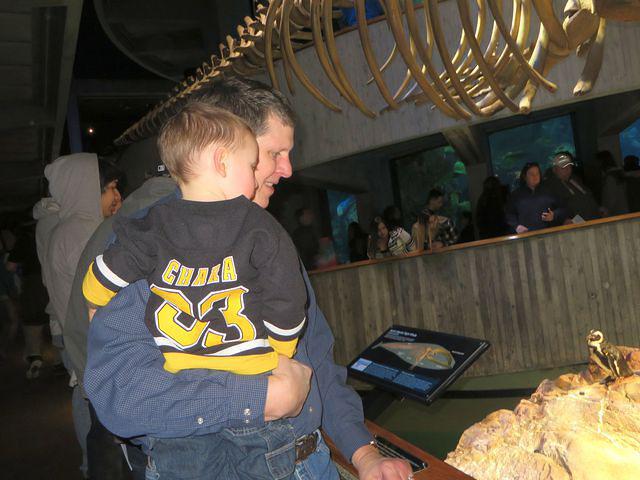 Learning about the penguins