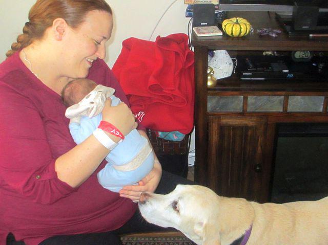 Dusty checking out the little guy