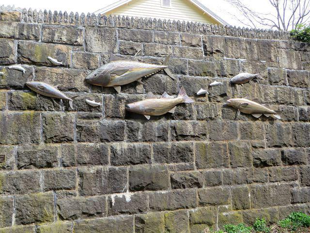 "Native Fish" mounted on stone wall along the trail