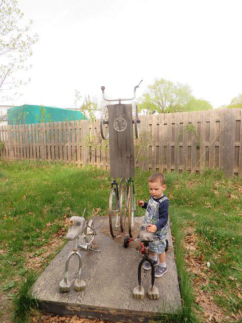 Thomas checking out the dogs