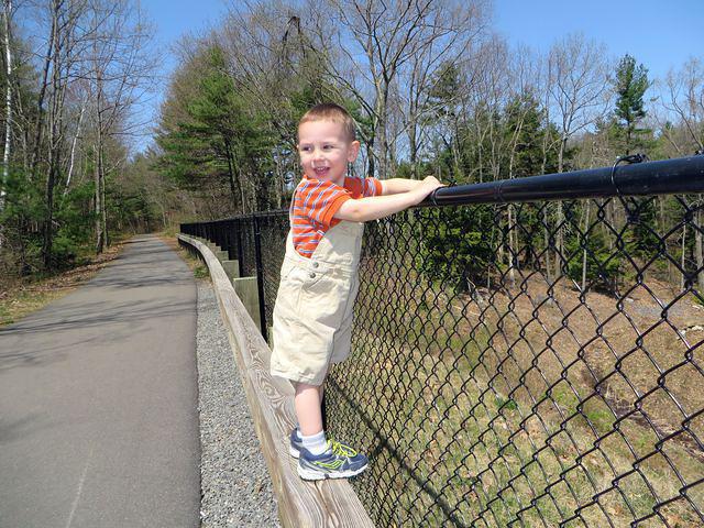 Watching the world go by