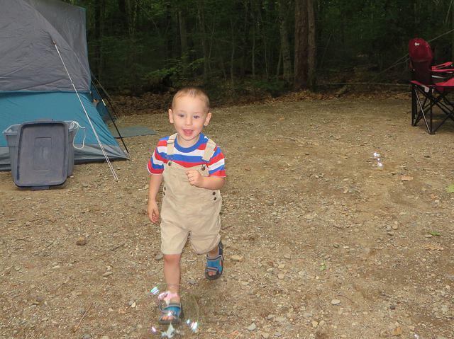 Chasing down every last one