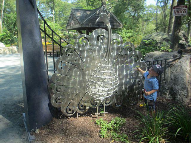 Checking Out the Peacock Statue
