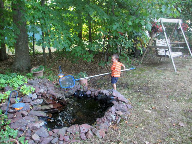 Cleaning Grandma's Pond