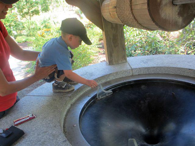 Feeding the Wishing Well