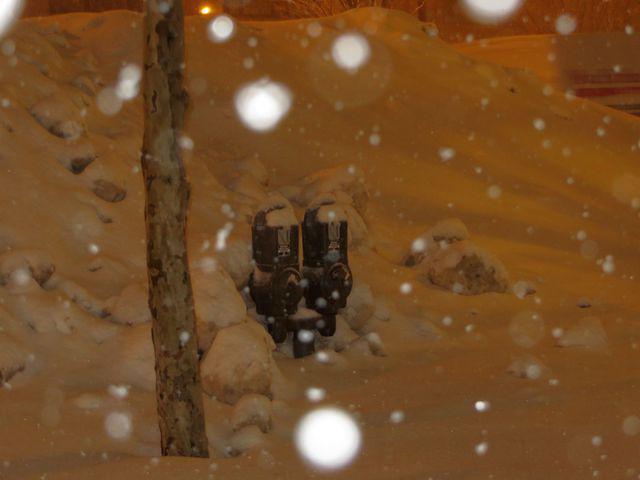 Buried Parking Meters