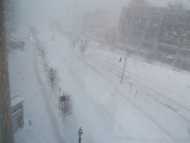 Commonwealth Avenue on Sunday