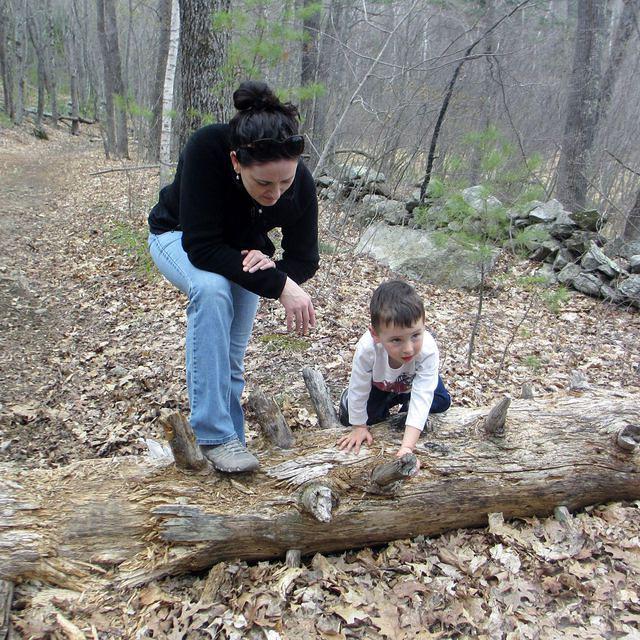 Look at all these Spikes