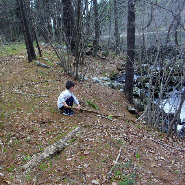 Watching the Water Flow