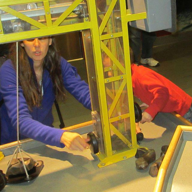 Learning about Cranes