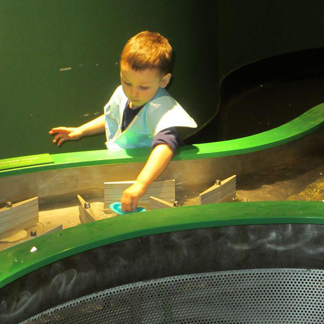 Sailing Around the Obstacles