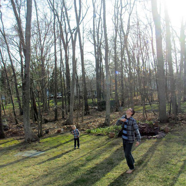 Daddy Threw the Ball So High!