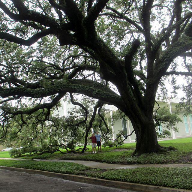 Outside the Menil Museum