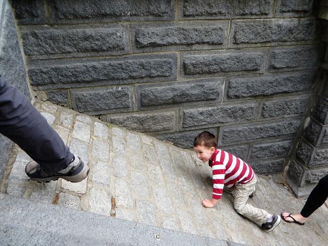 Monkey See, Monkey Do 9803