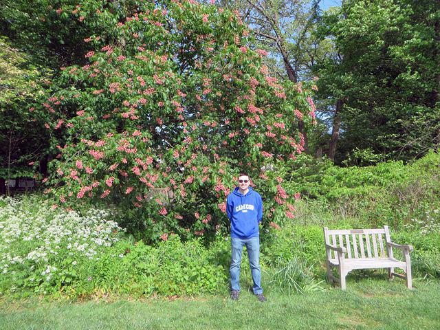 Brian and Horse Chestnut