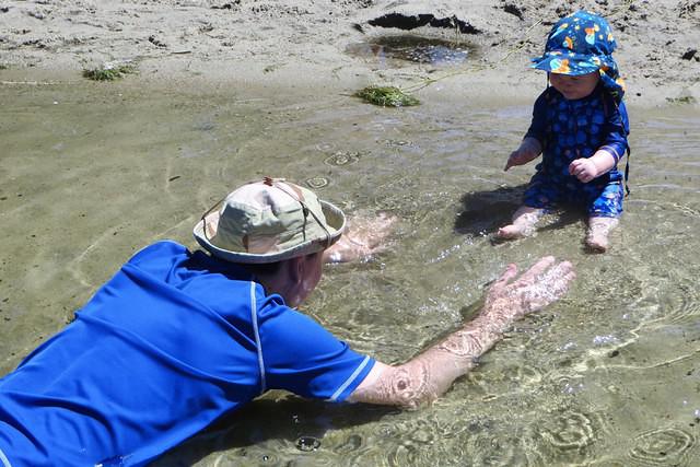 Here Comes the Daddy Shark