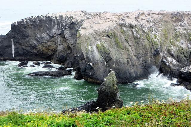 View From the Lighthouse
