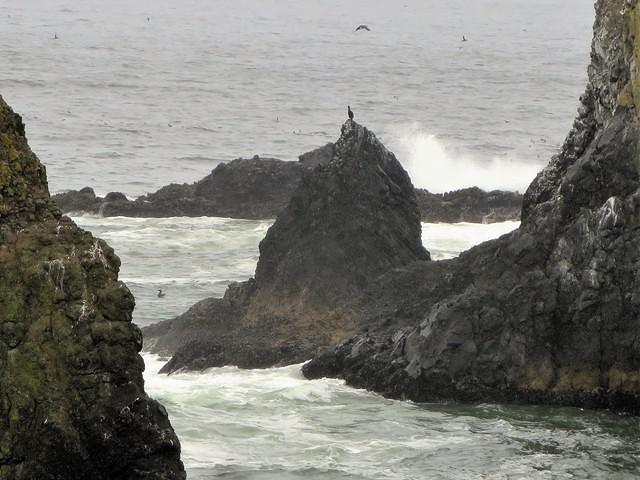 View from Cobble Beach