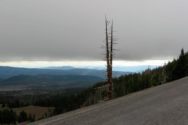 Who needs Shoulders?