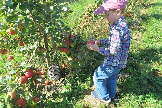 So Many to Choose From