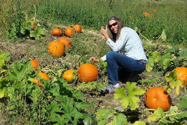 Searching For the Perfect Pumpkin