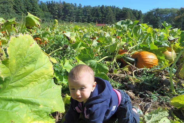 How Do I Get Out of Here?