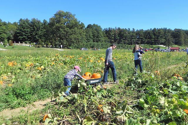 Heading Out With Our Plunder