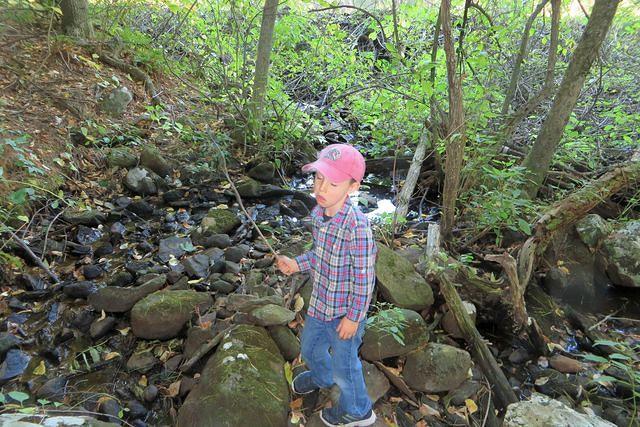 Contemplative Thomas