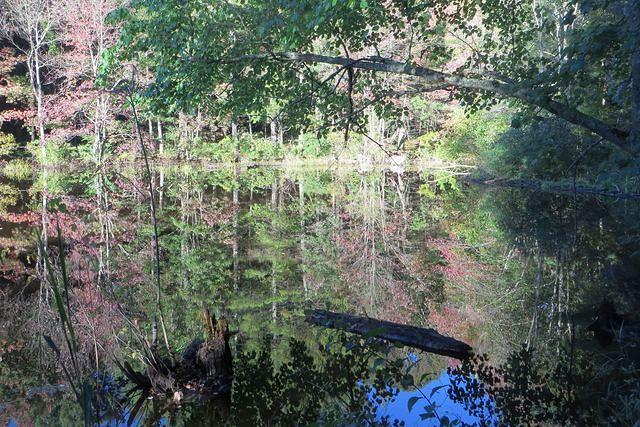 Off Roading is the Best