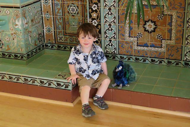 Isaac and His Naval Postgraduate School Peacock