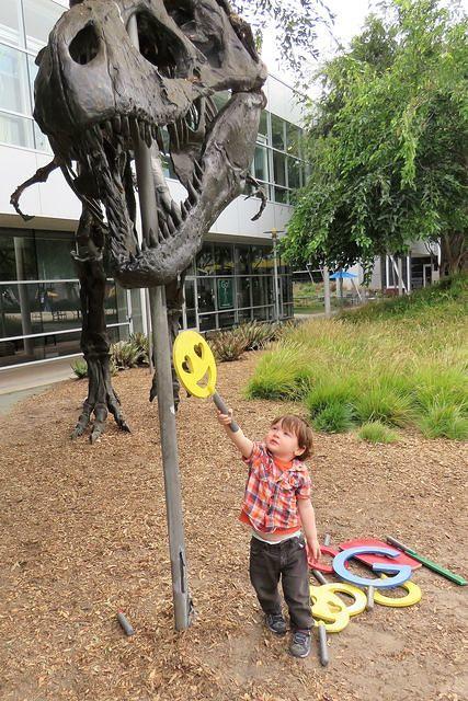 Feeding the Dinosaur