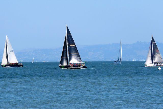 Sailing in the Bay