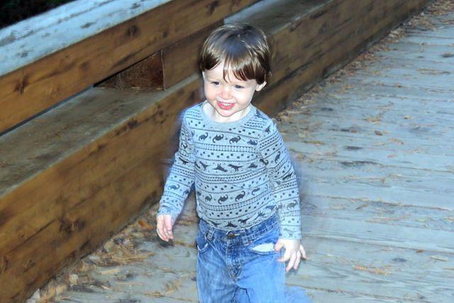 Trail Running in Muir Woods