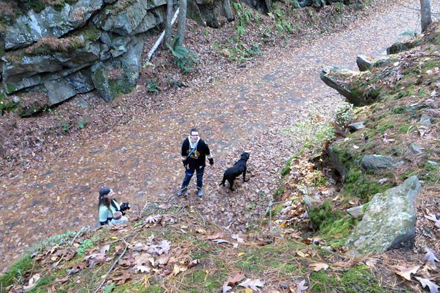 View From the High Road