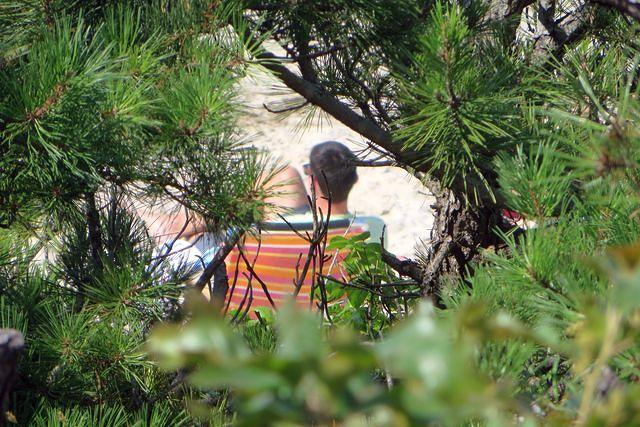 Spying From the Deck