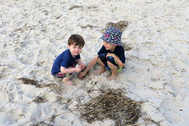 Last Bit of Seaweed Fun