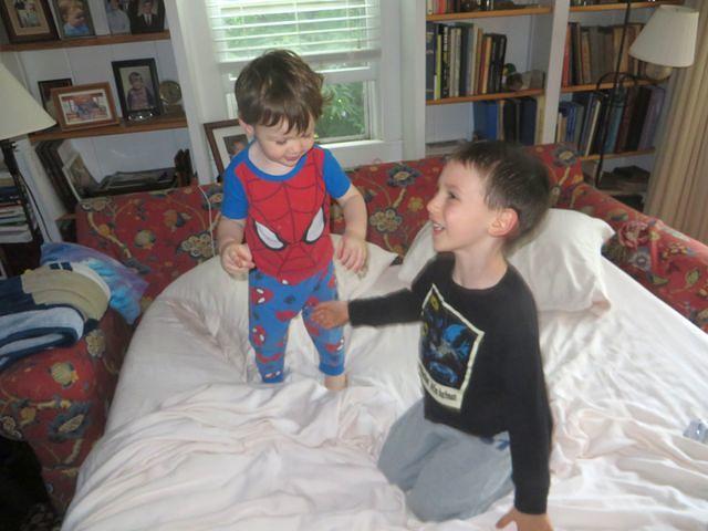 Monkeys Jumping on the Bed