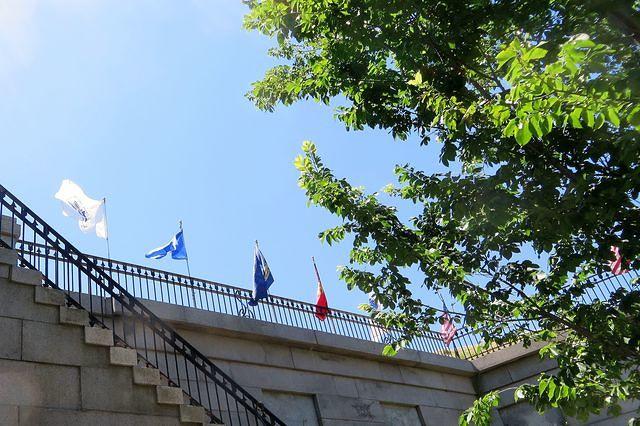 Looking Up From Inside