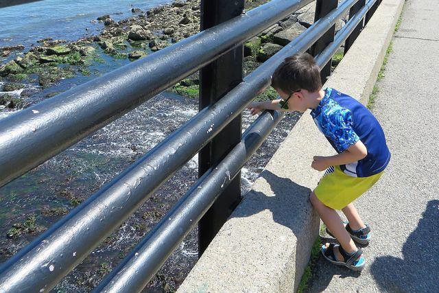 Returning Unfinished Beach Glass to the Sea