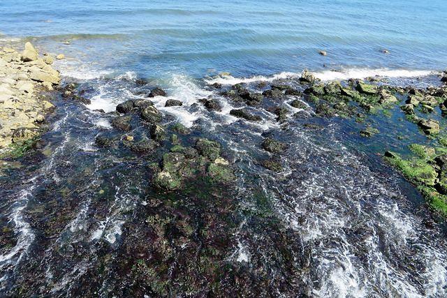 View From the Bridge