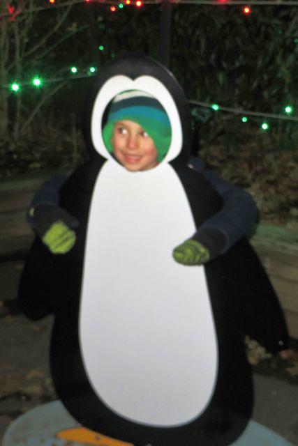 Penguin Thomas