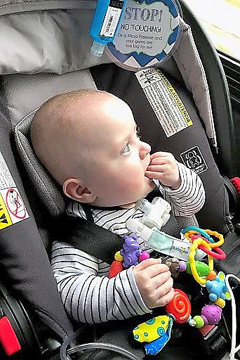 Checking Out the View