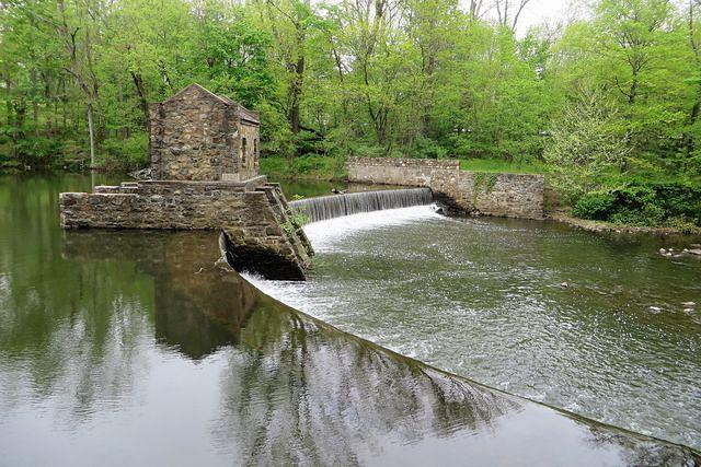 Speedwell Reflections