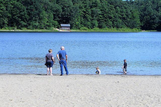 Great Day at the Park